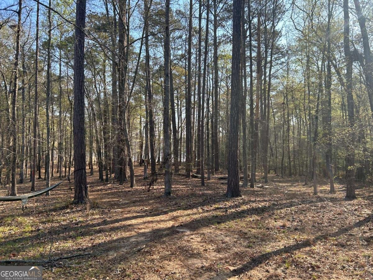 1697 Broad River Scenic Drive Tignall - Photo 8