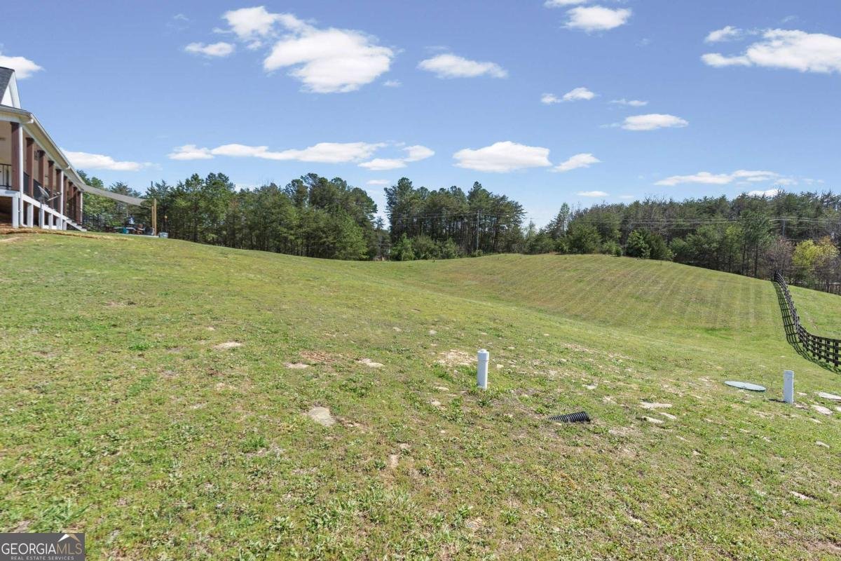 148 Henry Mack Hill Road Rydal - Photo 57