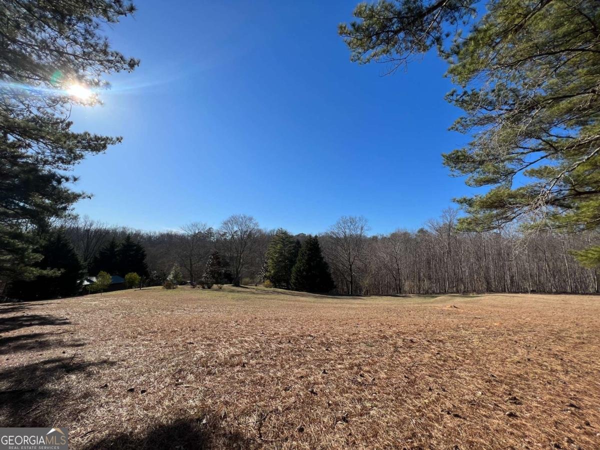 6030 Spout Springs Road Flowery Branch - Photo 21