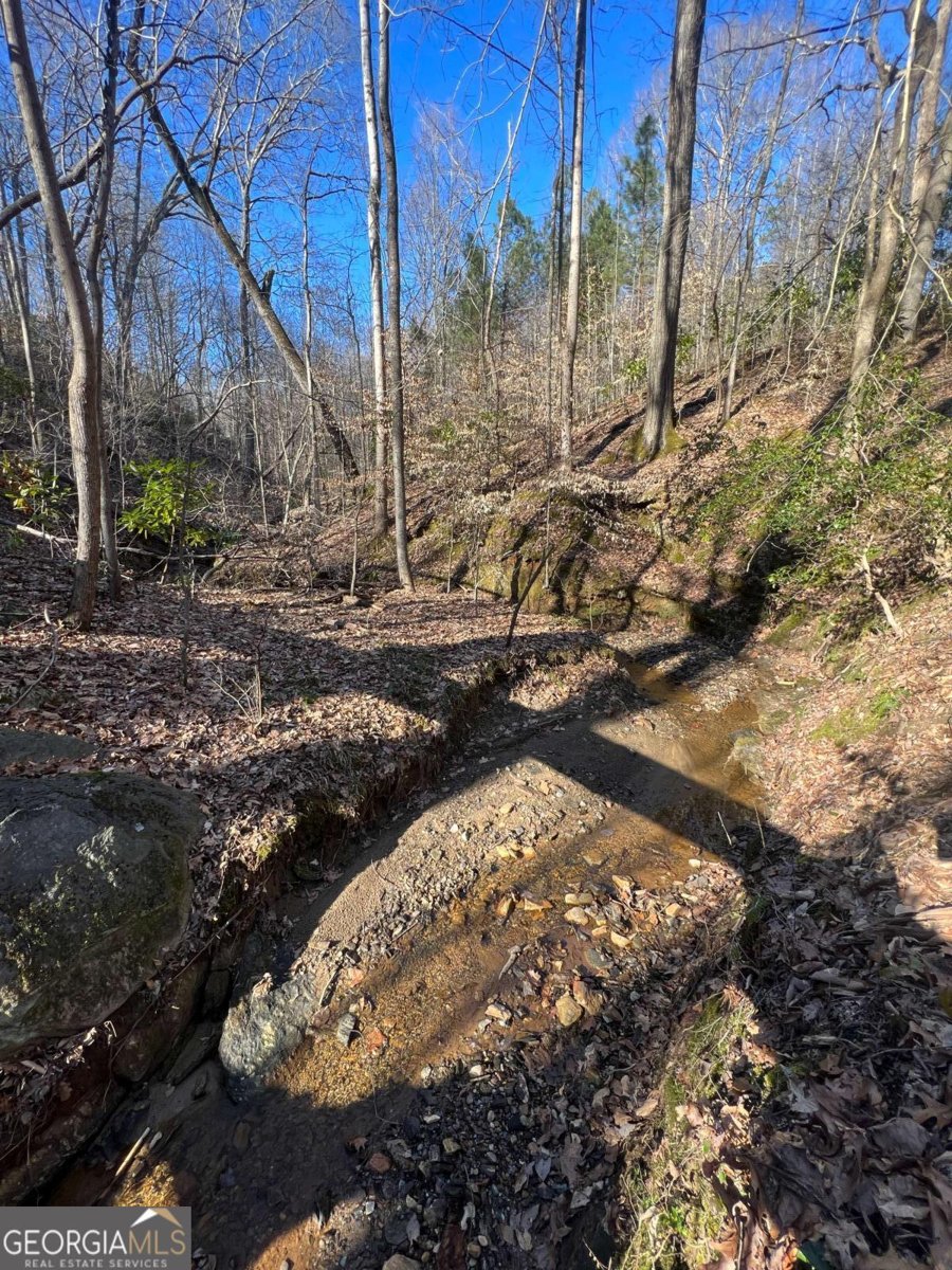 6030 Spout Springs Road Flowery Branch - Photo 23