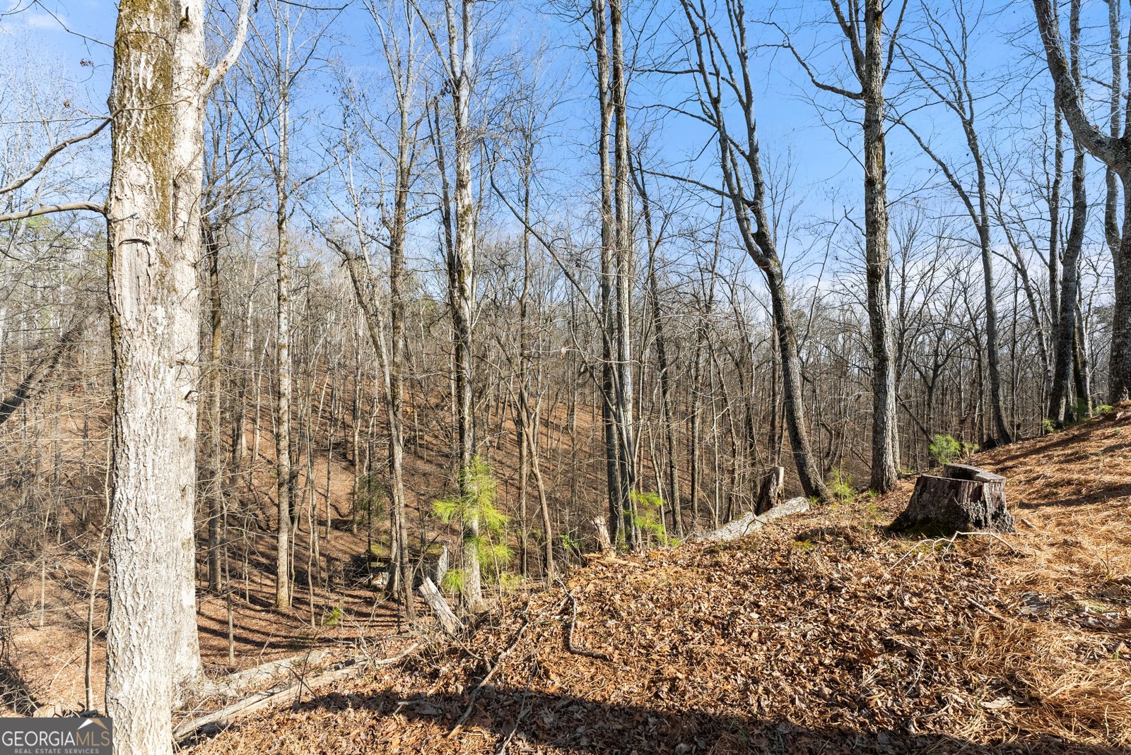 3425 Duckett Mill Road Gainesville - Photo 59