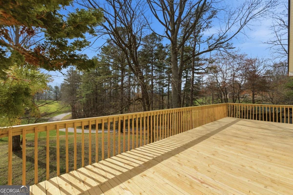 3015 Bear Lane Hiawassee - Photo 16