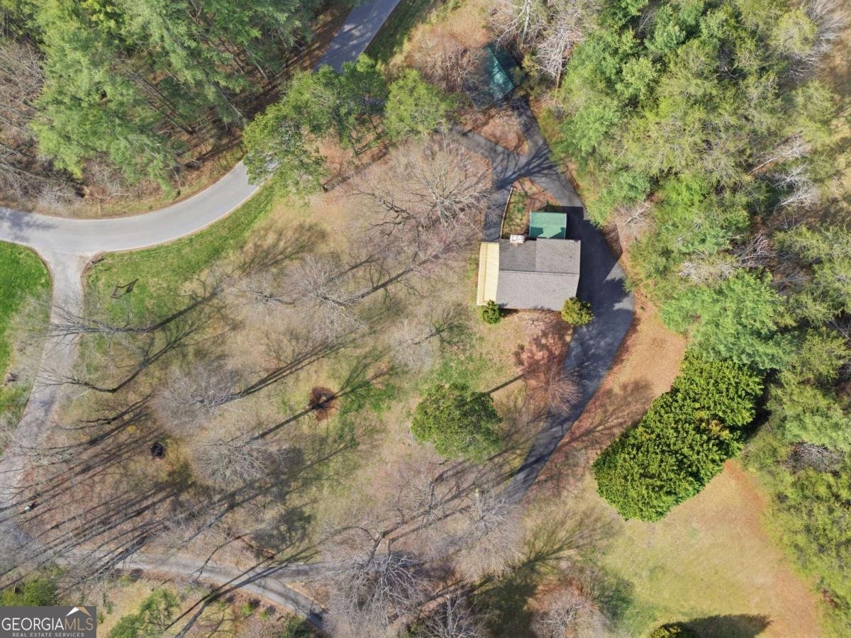 3015 Bear Lane Hiawassee - Photo 48