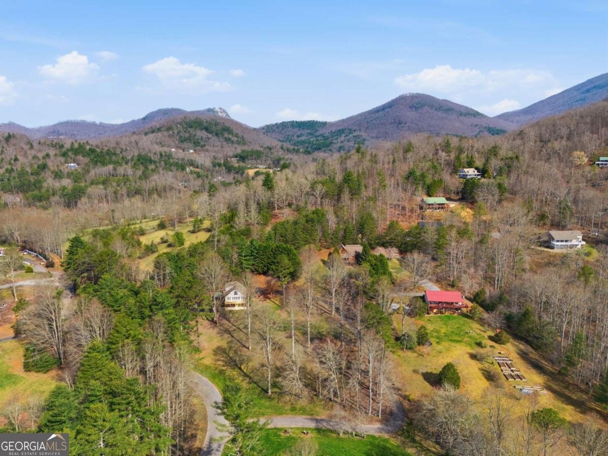 3015 Bear Lane Hiawassee - Photo 50