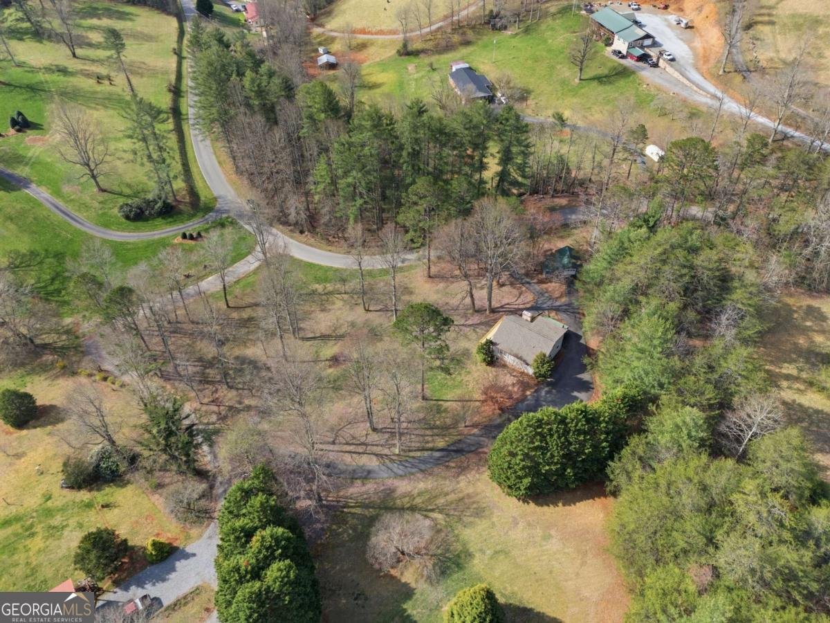 3015 Bear Lane Hiawassee - Photo 51