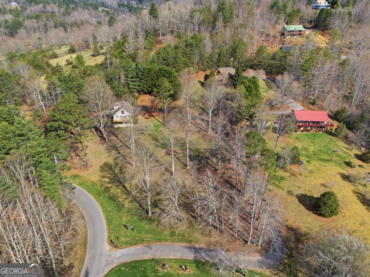 3015 Bear Lane Hiawassee - Photo 52