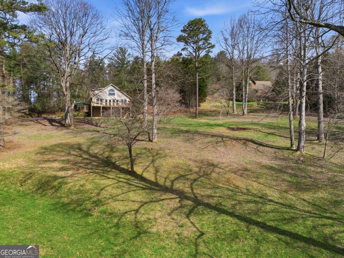 3015 Bear Lane Hiawassee - Photo 53