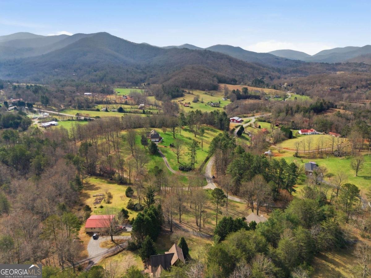 3015 Bear Lane Hiawassee - Photo 54