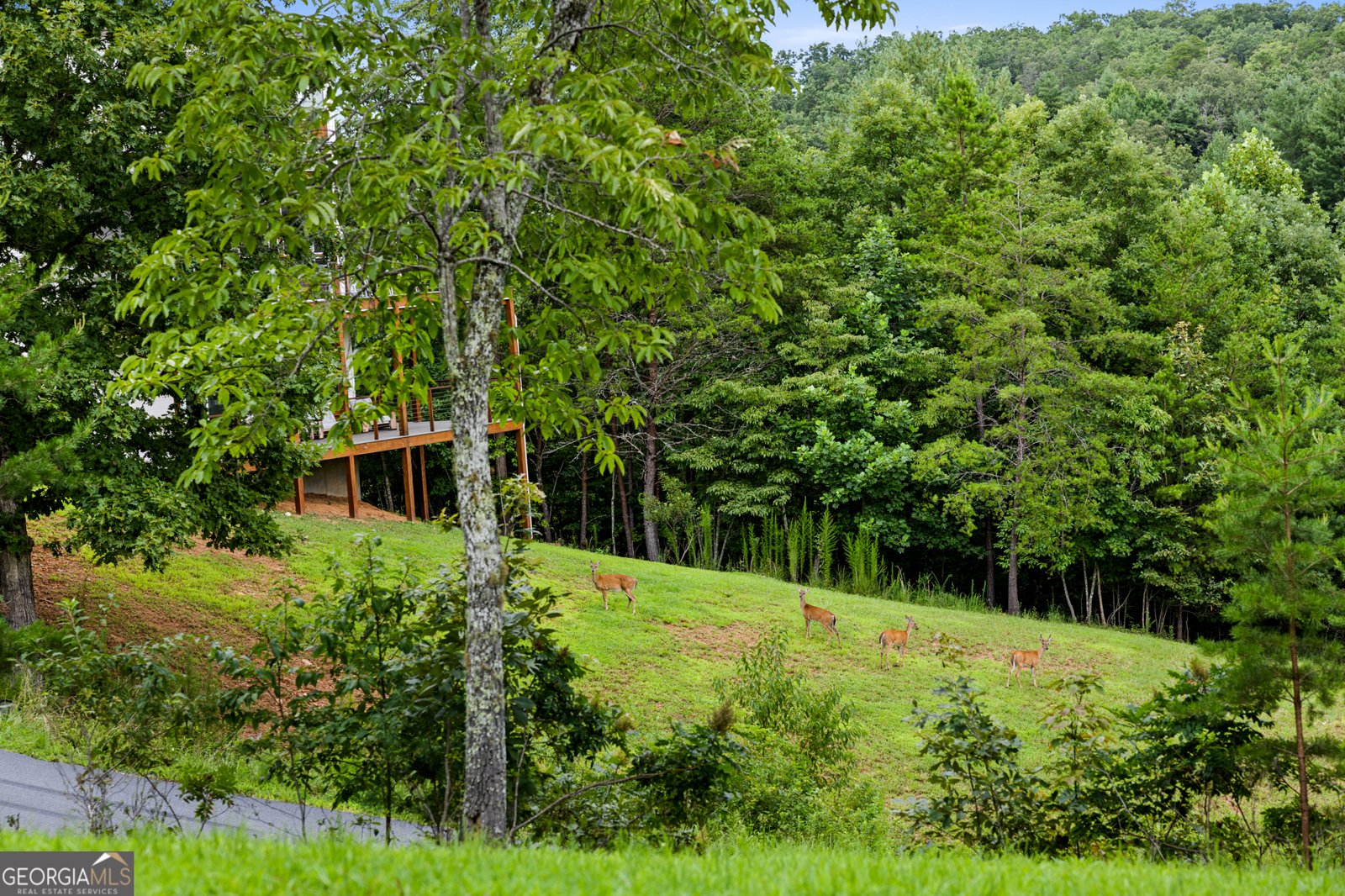 143 Brannon Ridge Young Harris - Photo 35