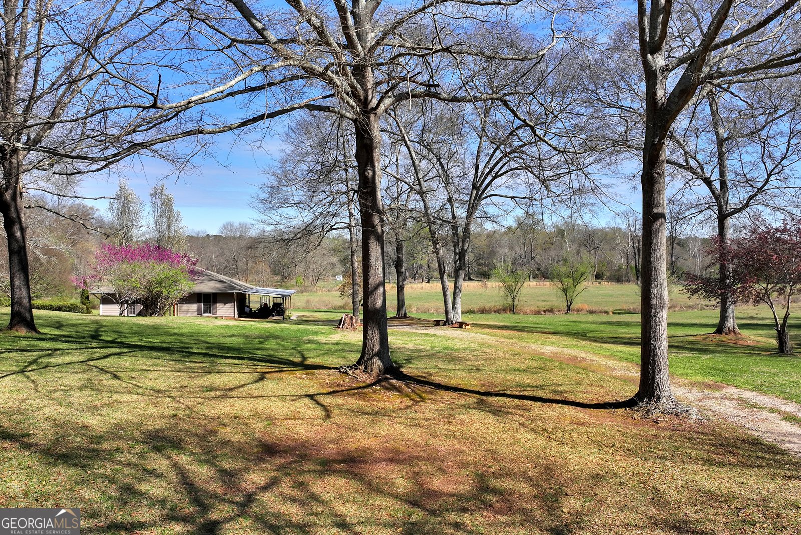 92 Cedar Valley Trail Winder - Photo 8