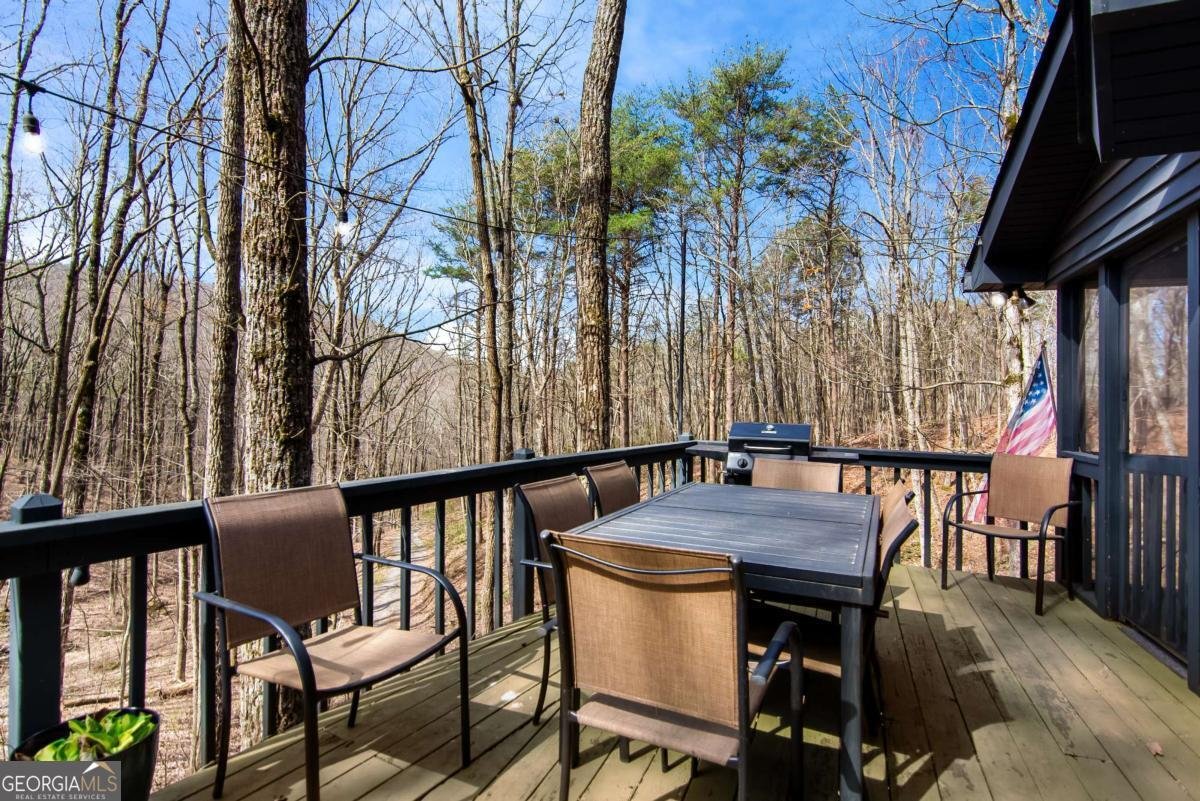 843 Fern Valley Road Ellijay - Photo 43