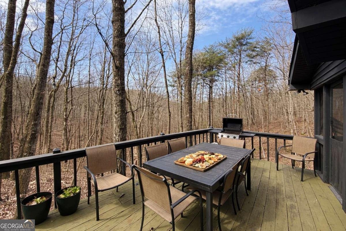 843 Fern Valley Road Ellijay - Photo 45