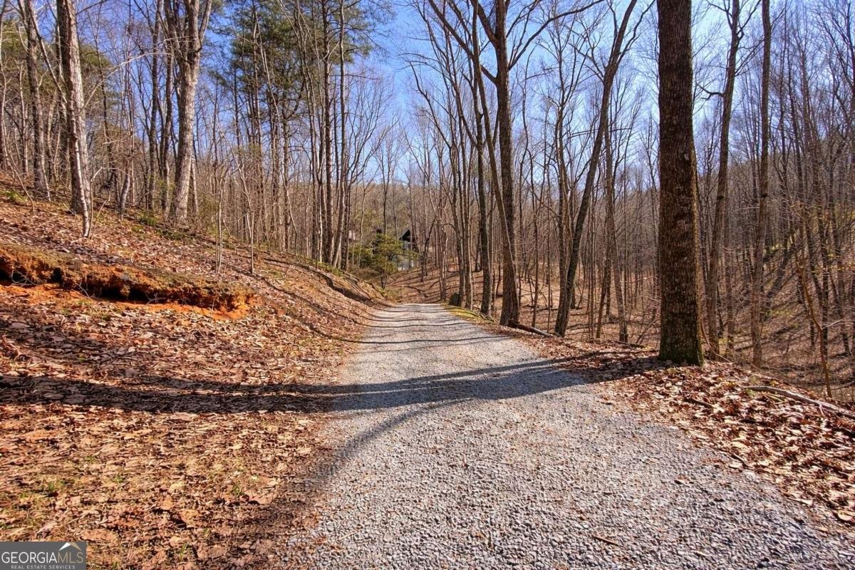 843 Fern Valley Road Ellijay - Photo 49