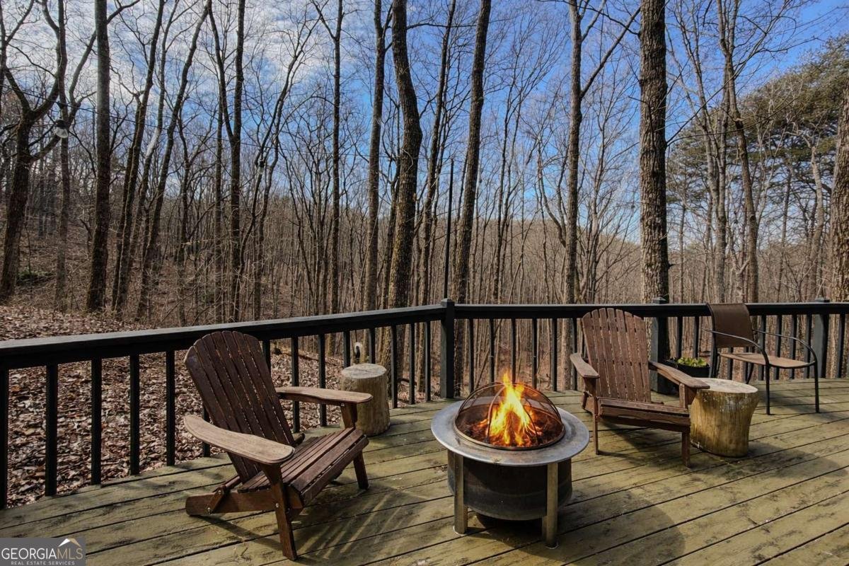 843 Fern Valley Road Ellijay - Photo 54