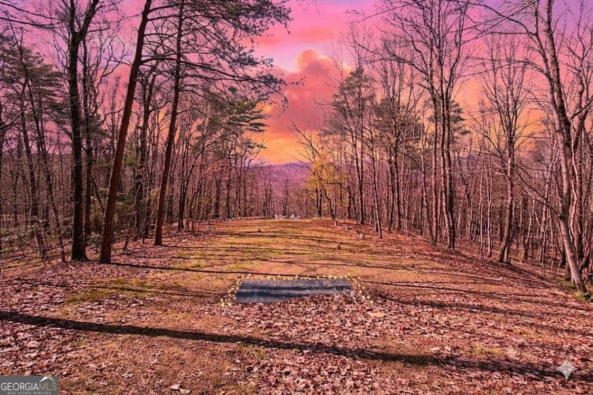 843 Fern Valley Road Ellijay - Photo 56