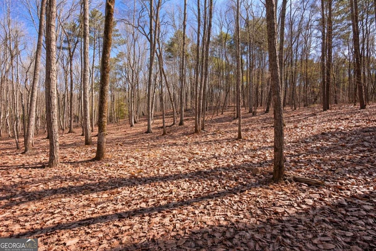 843 Fern Valley Road Ellijay - Photo 57