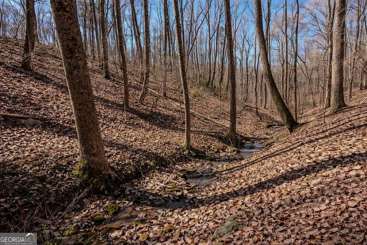 843 Fern Valley Road Ellijay - Photo 58