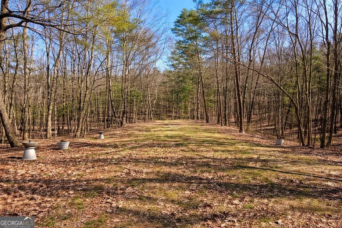 843 Fern Valley Road Ellijay - Photo 59