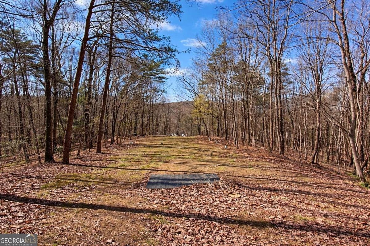 843 Fern Valley Road Ellijay - Photo 6