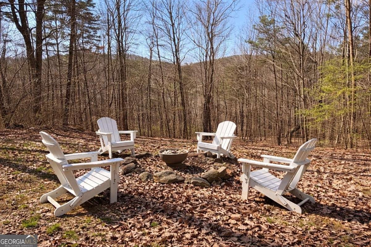 843 Fern Valley Road Ellijay - Photo 64