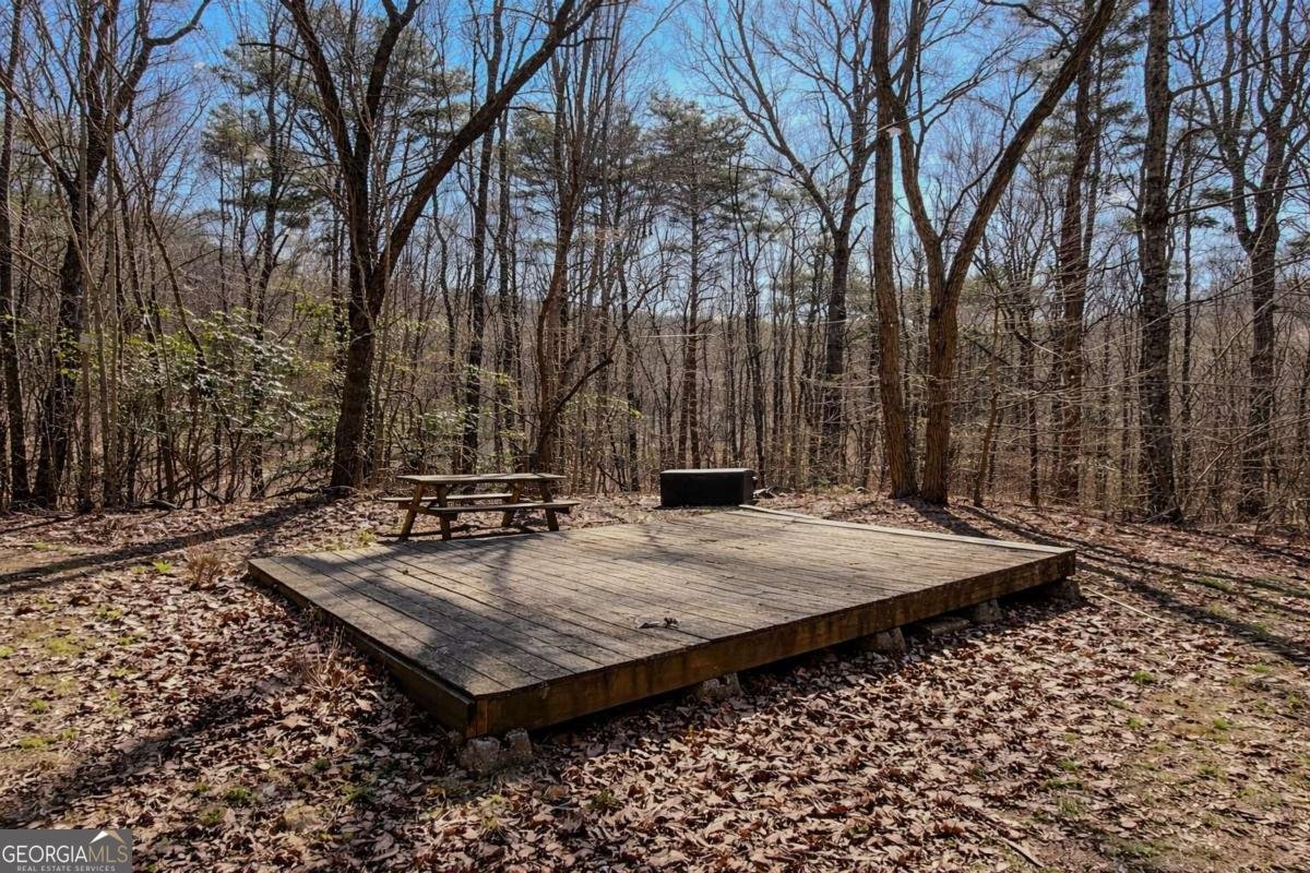 843 Fern Valley Road Ellijay - Photo 67