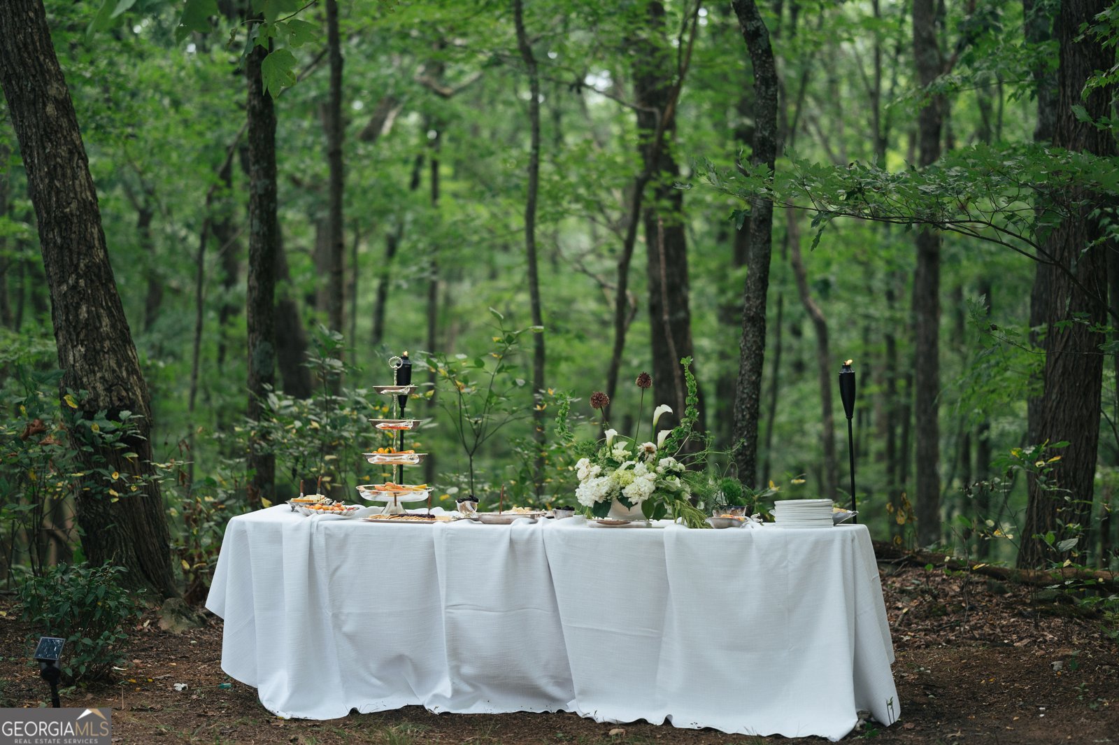 843 Fern Valley Road Ellijay - Photo 68