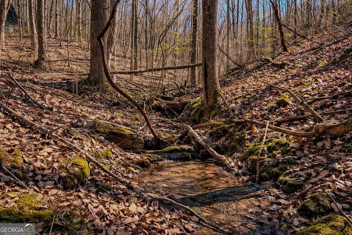 843 Fern Valley Road Ellijay - Photo 7