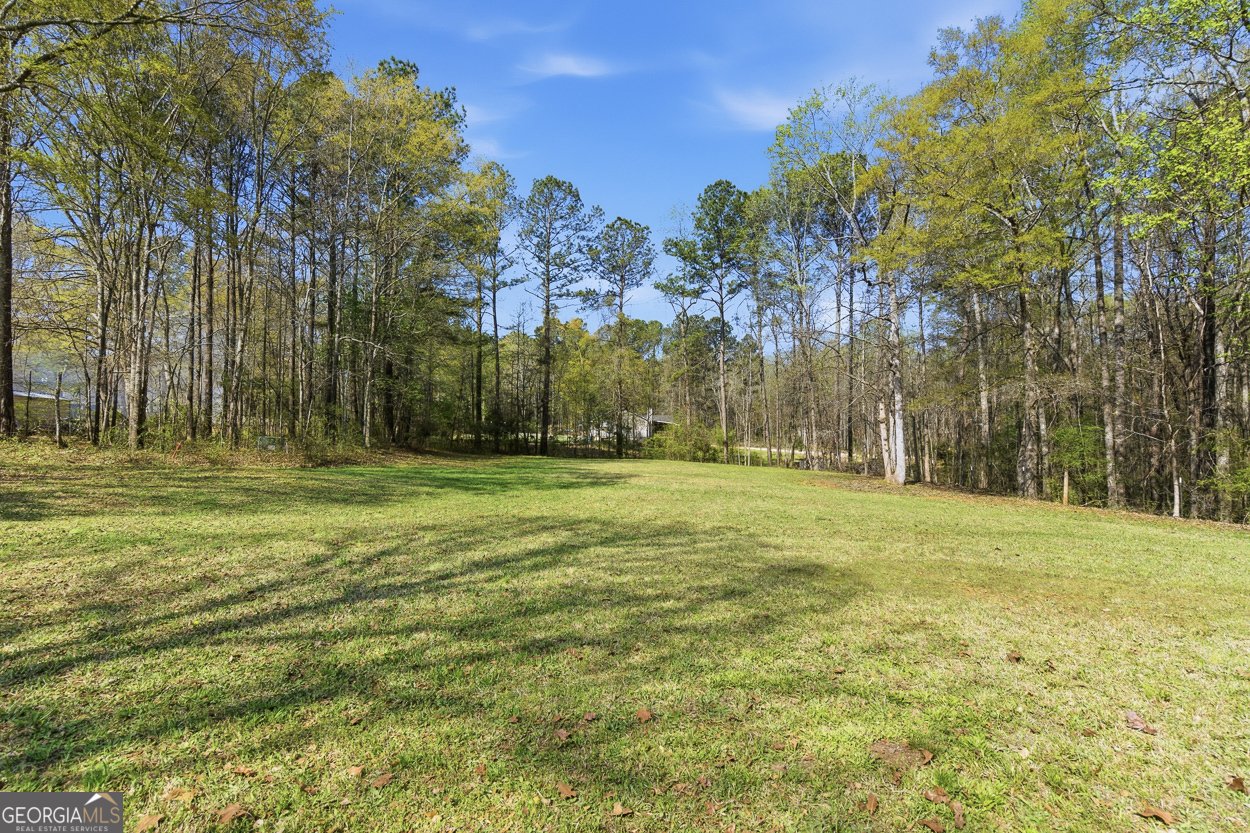 1255 Coan Drive Locust Grove - Photo 43