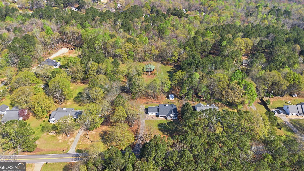 1255 Coan Drive Locust Grove - Photo 44