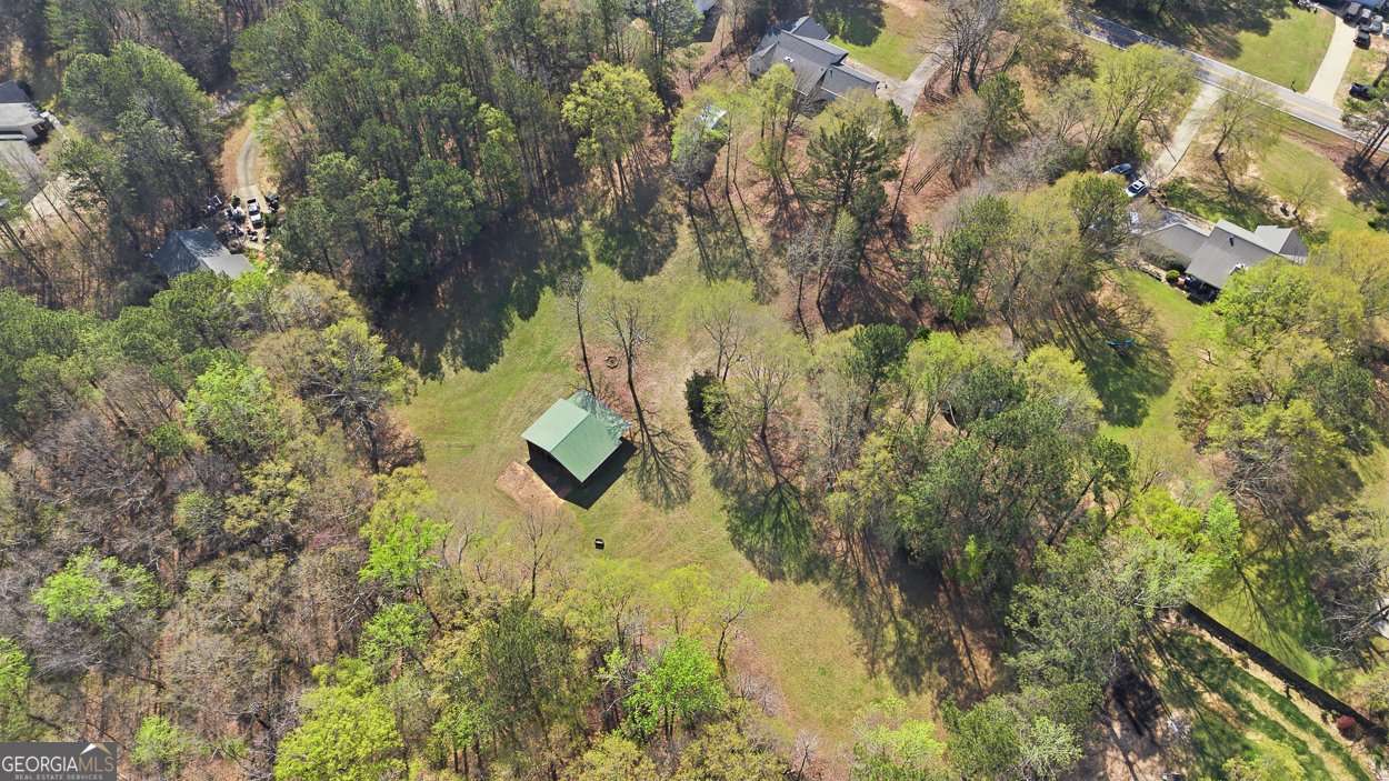 1255 Coan Drive Locust Grove - Photo 46