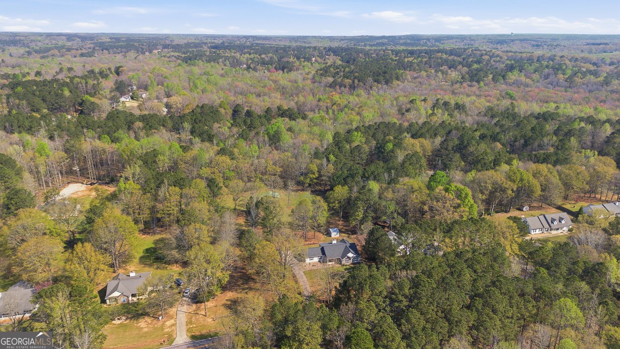 1255 Coan Drive Locust Grove - Photo 47