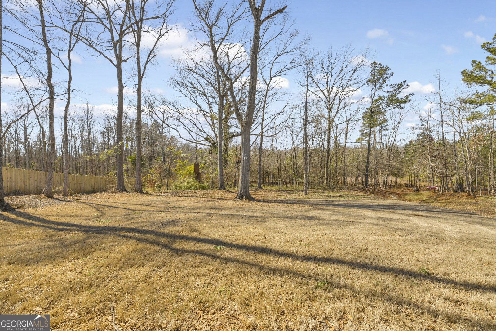 371 River Mansion Drive Jefferson - Photo 10