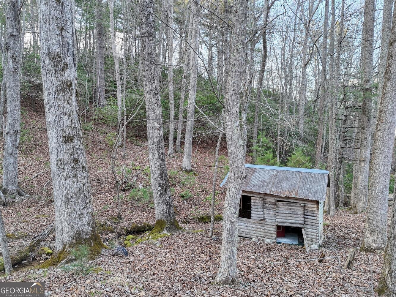 633 Timber Ridge Road Blairsville - Photo 65