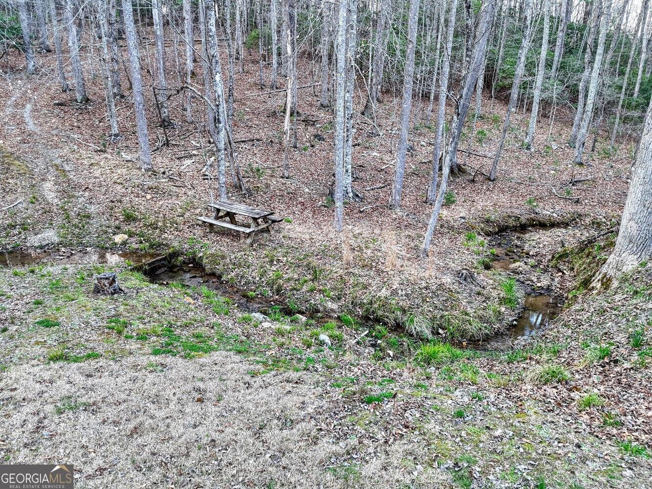 633 Timber Ridge Road Blairsville - Photo 68