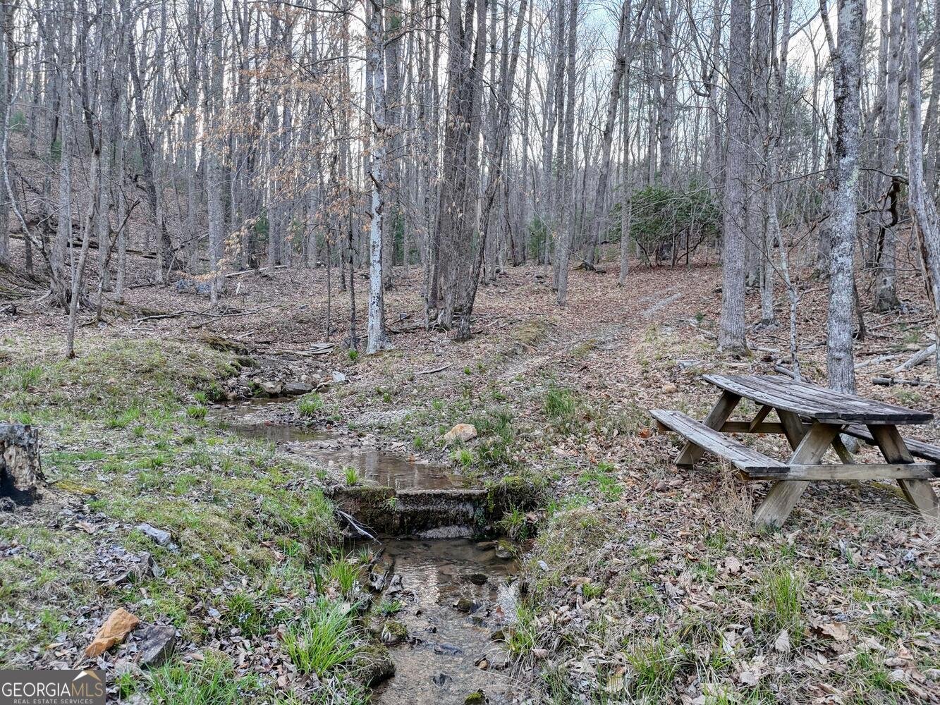633 Timber Ridge Road Blairsville - Photo 69