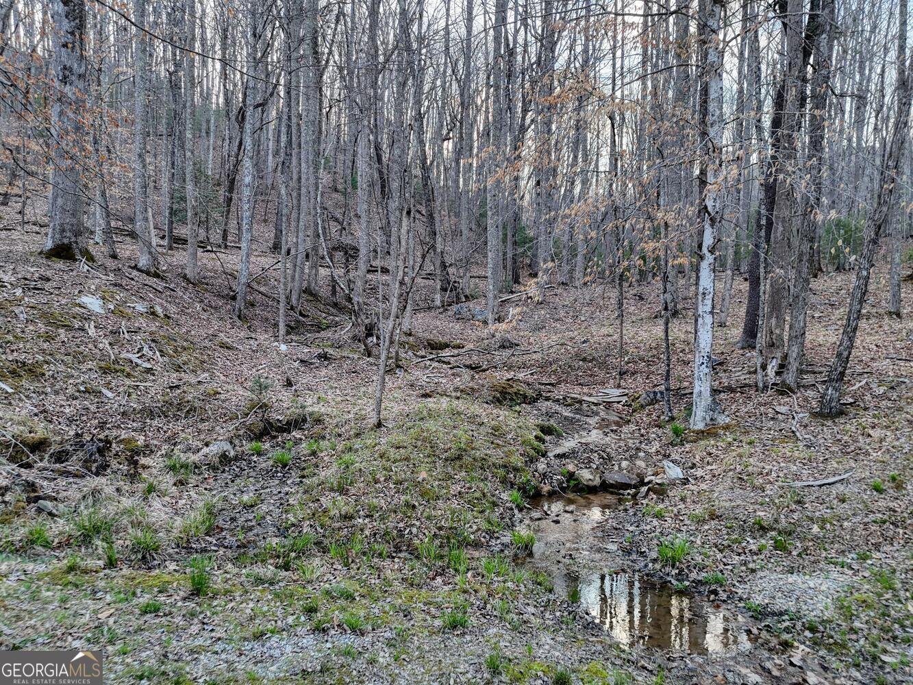 633 Timber Ridge Road Blairsville - Photo 70