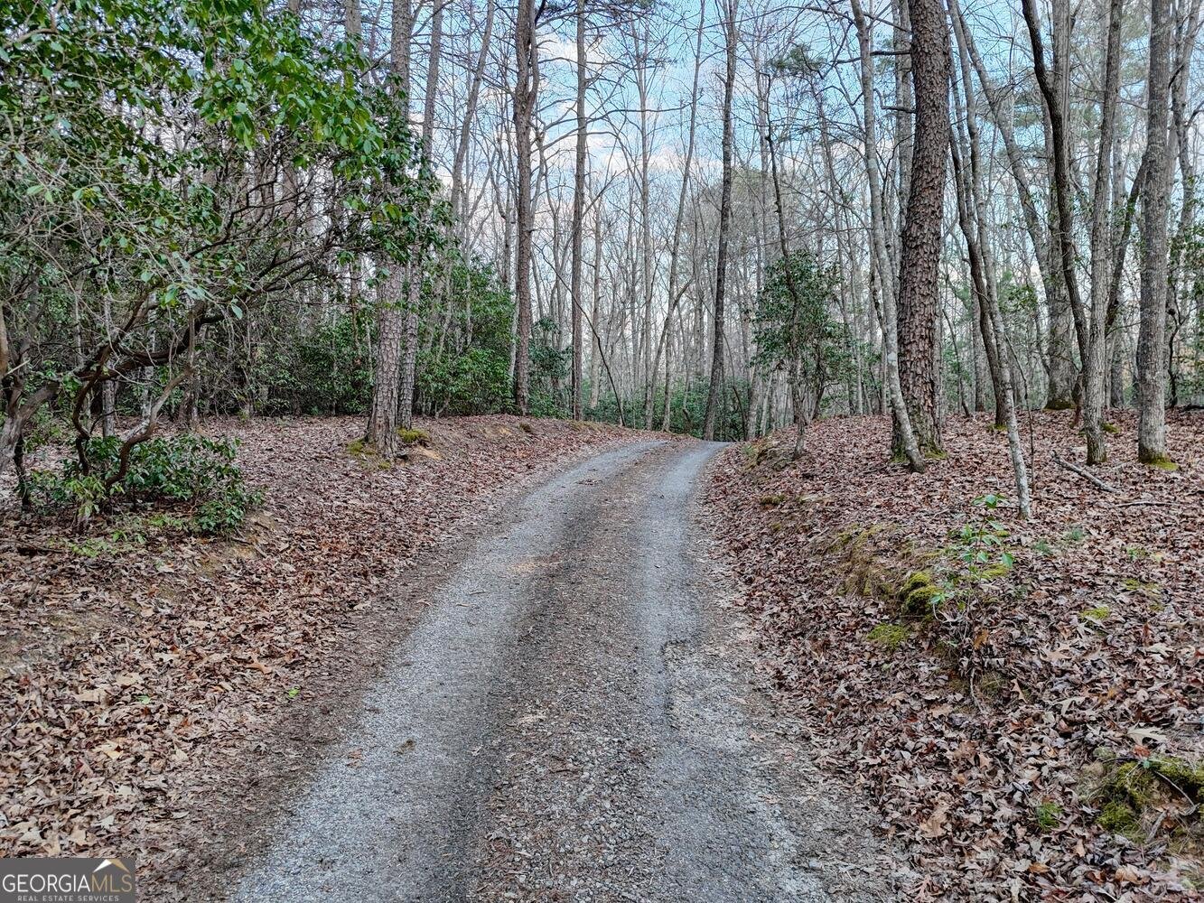 633 Timber Ridge Road Blairsville - Photo 72