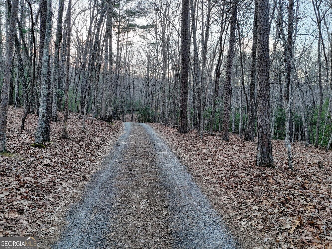 633 Timber Ridge Road Blairsville - Photo 73