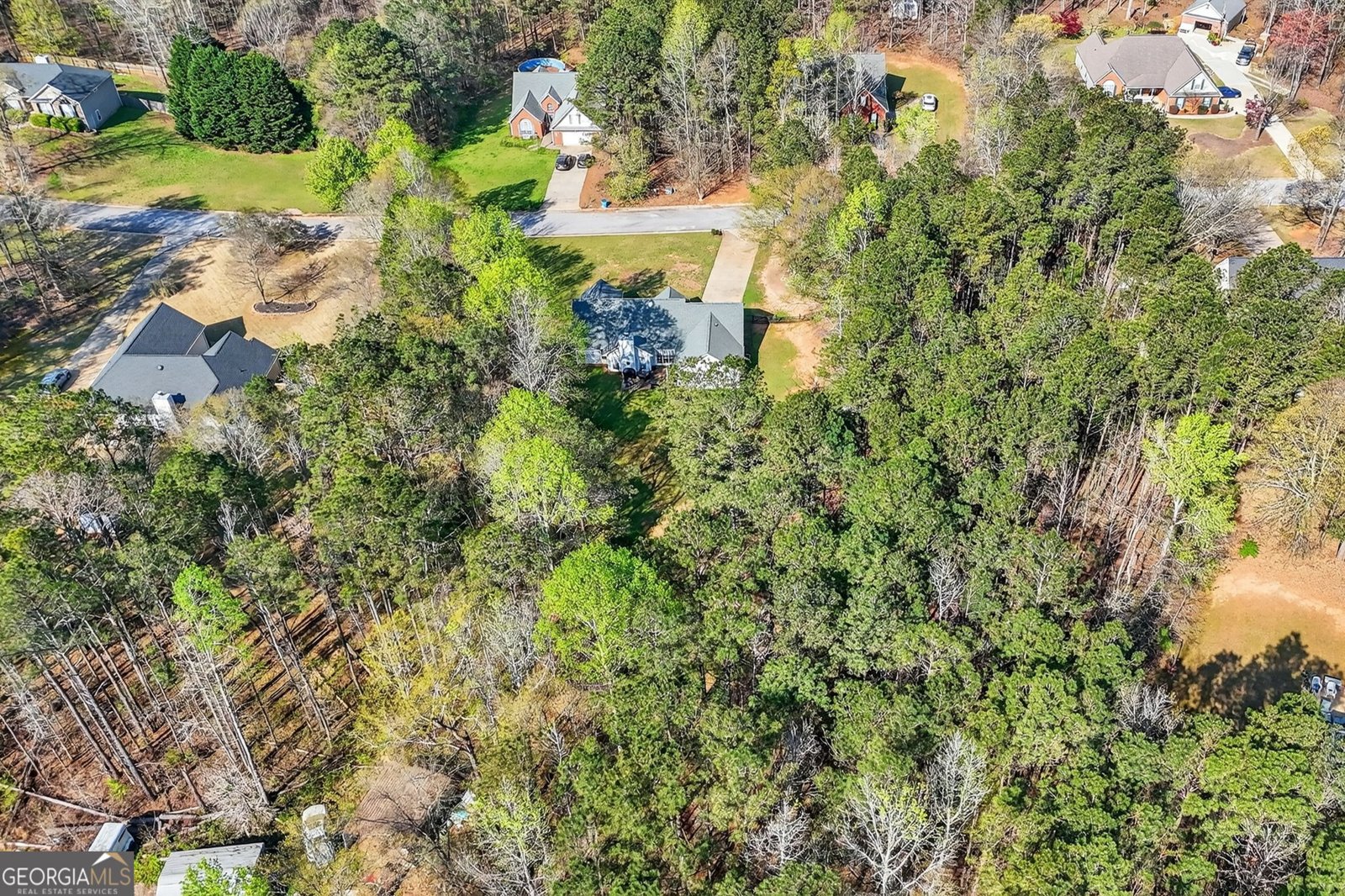 331 Patrick Circle Jenkinsburg - Photo 43