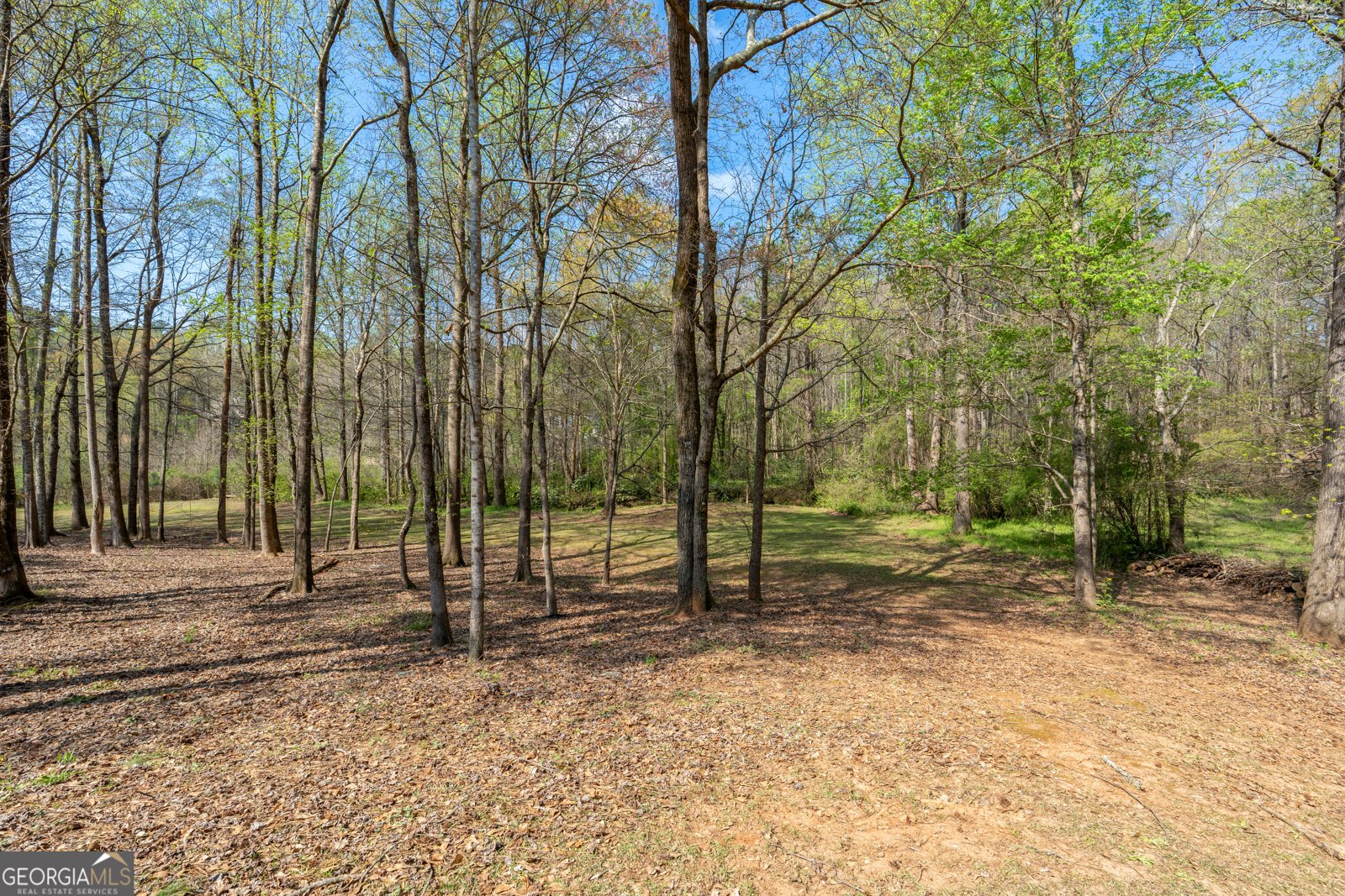 110 Allie Drive McDonough - Photo 63