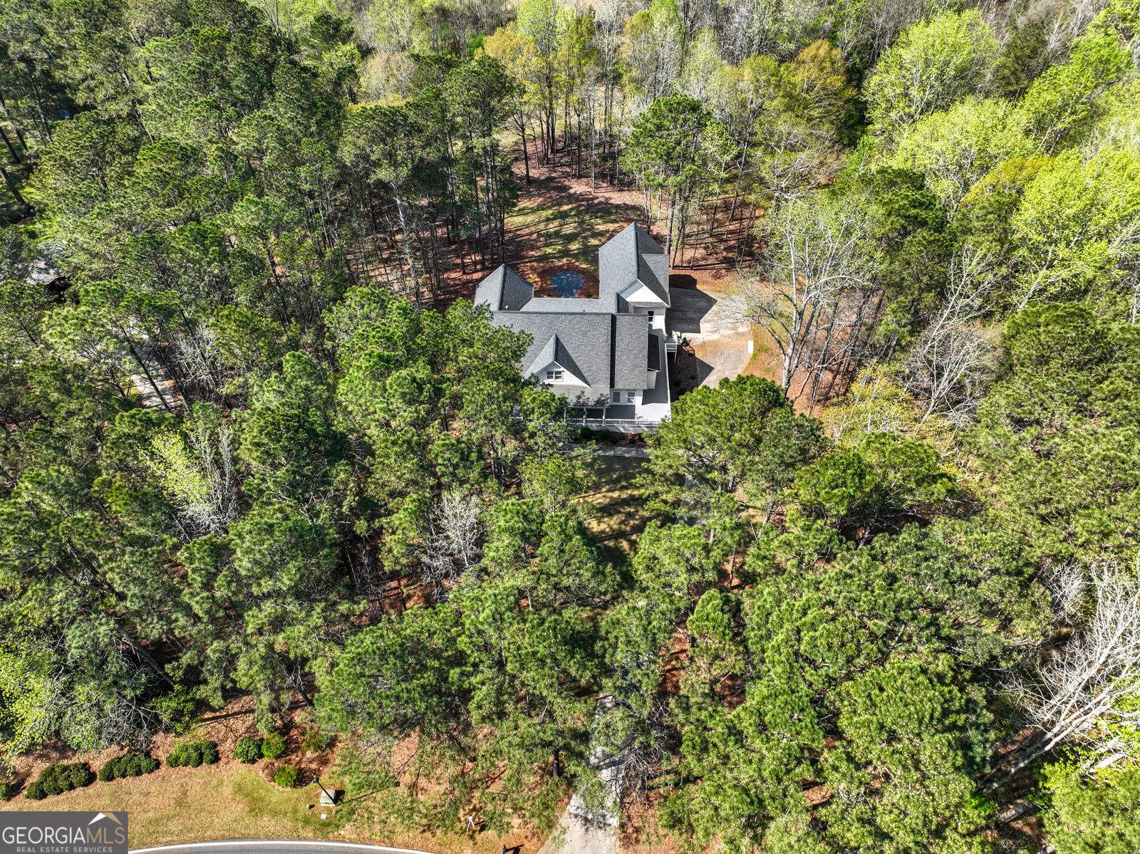 110 Allie Drive McDonough - Photo 66