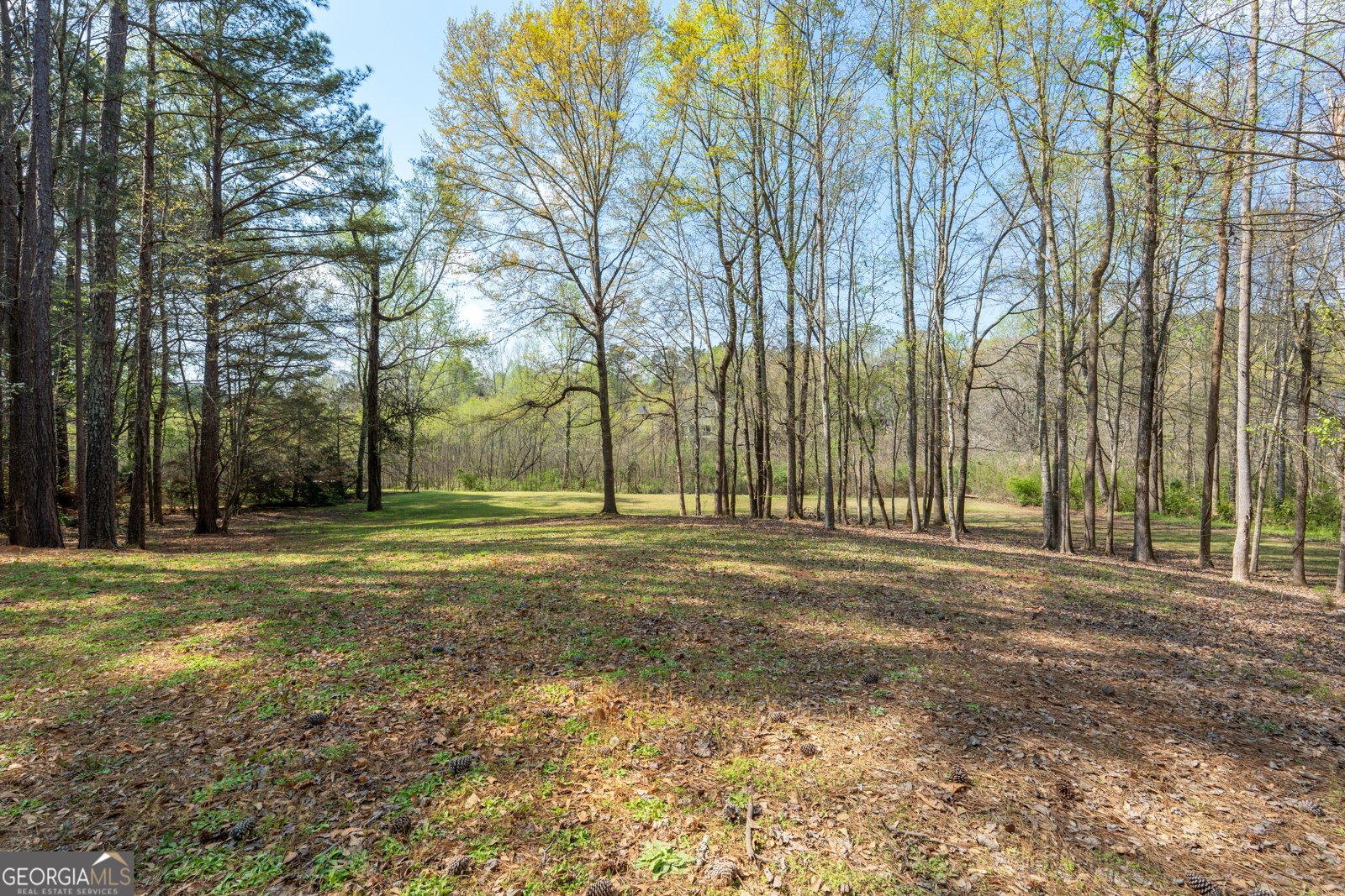 110 Allie Drive McDonough - Photo 68