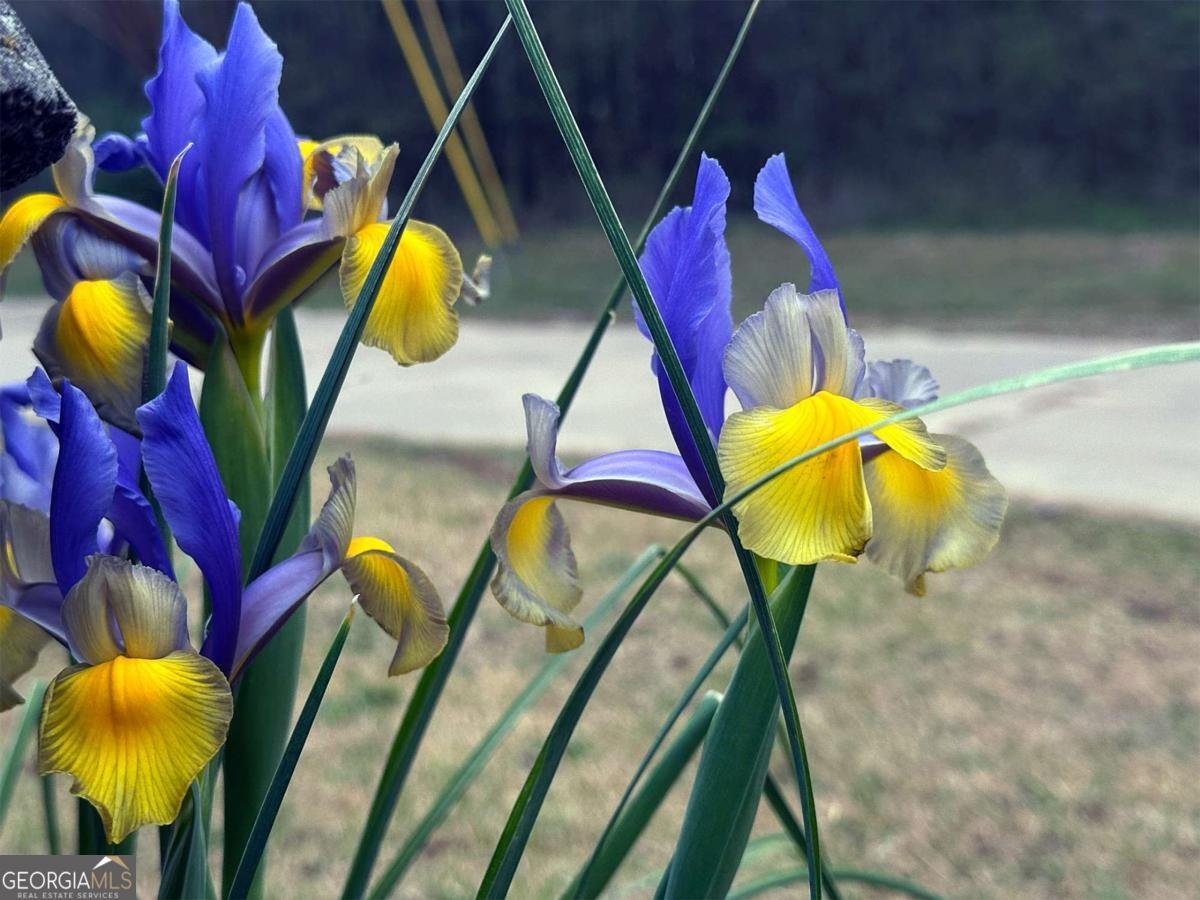 1104 Farm Road Colbert - Photo 30