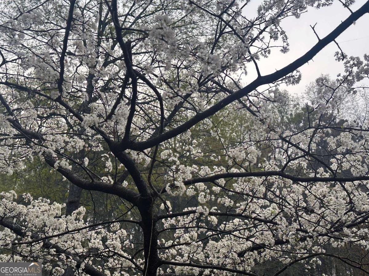 1104 Farm Road Colbert - Photo 31