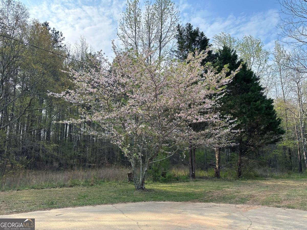 1104 Farm Road Colbert - Photo 32