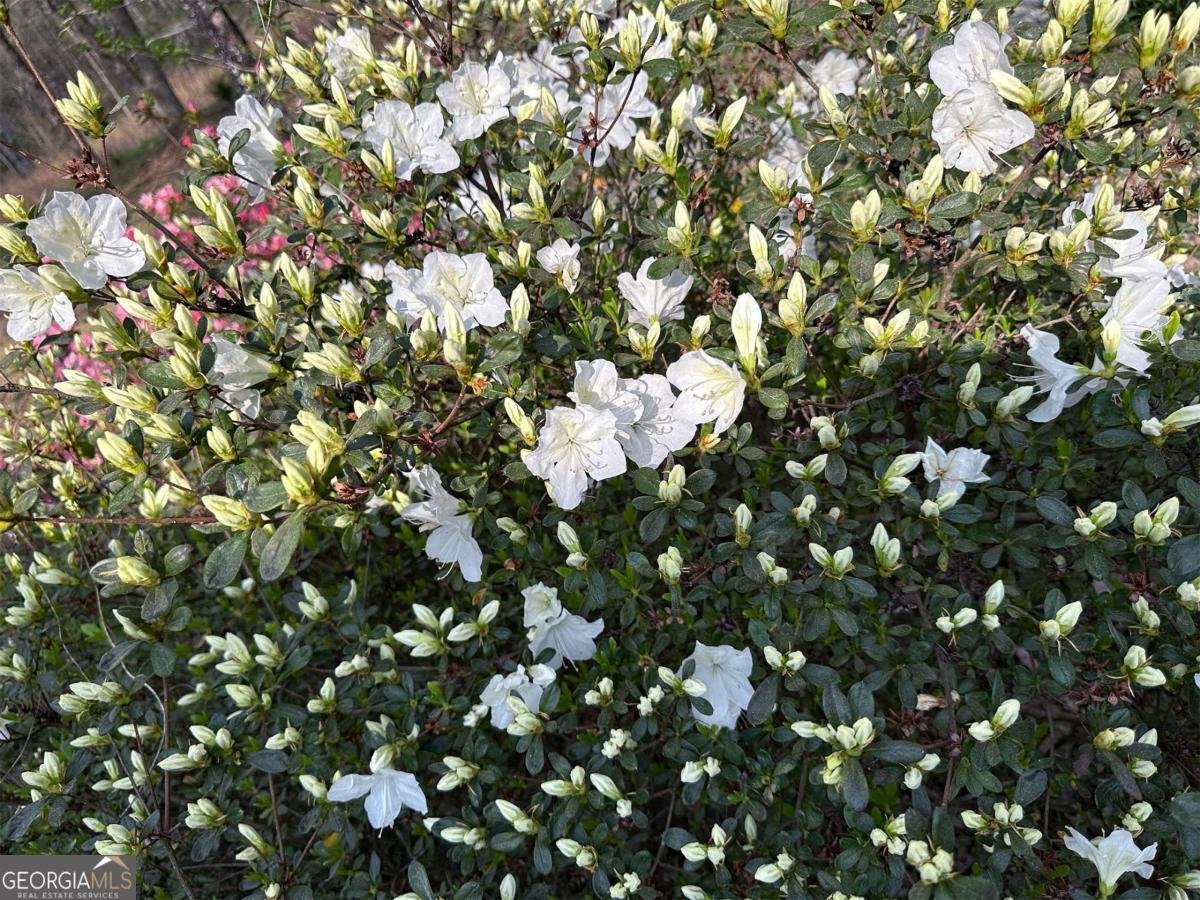 1104 Farm Road Colbert - Photo 33