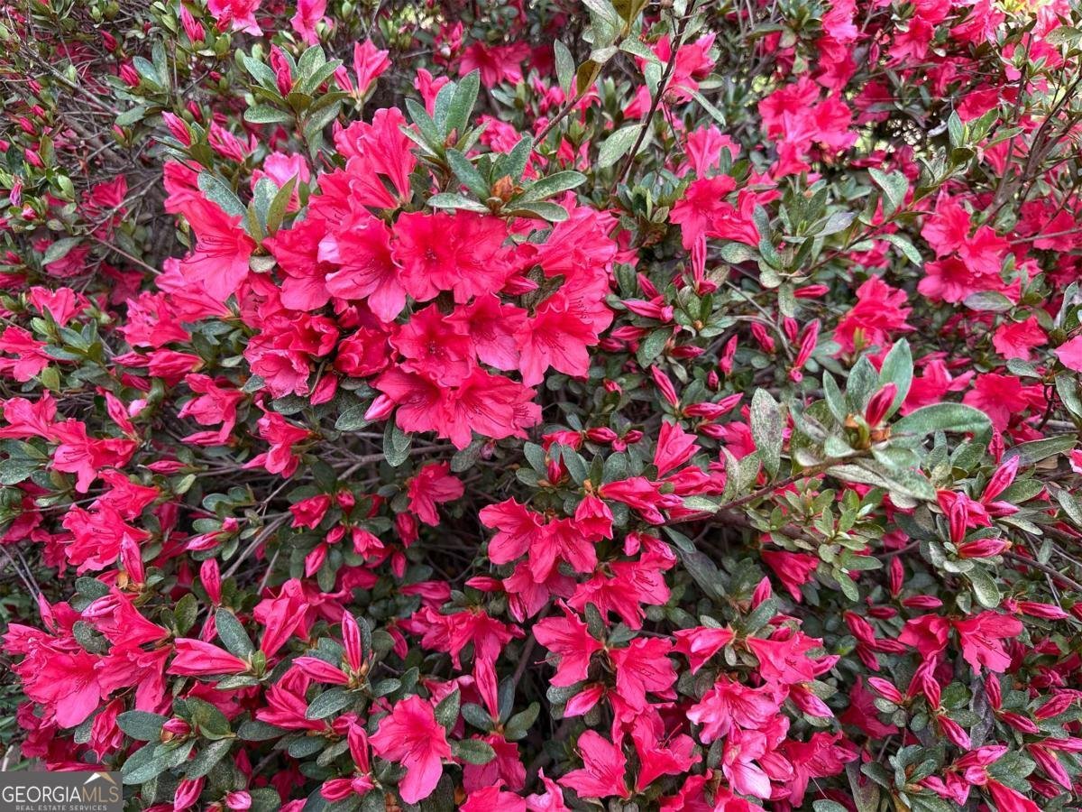 1104 Farm Road Colbert - Photo 34