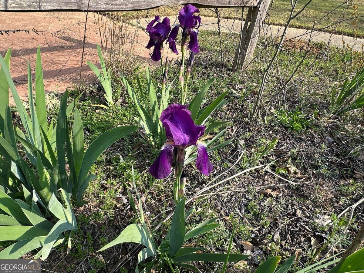 1104 Farm Road Colbert - Photo 35