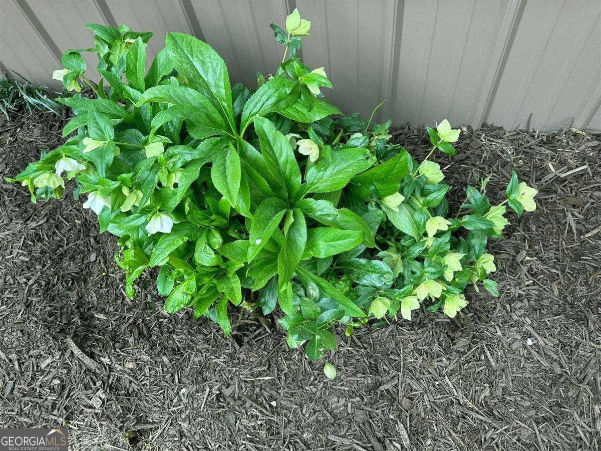 1104 Farm Road Colbert - Photo 37