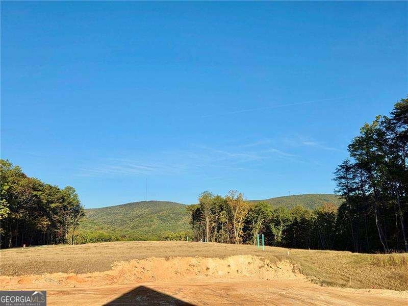 172 Cherokee Drive Waleska - Photo 17